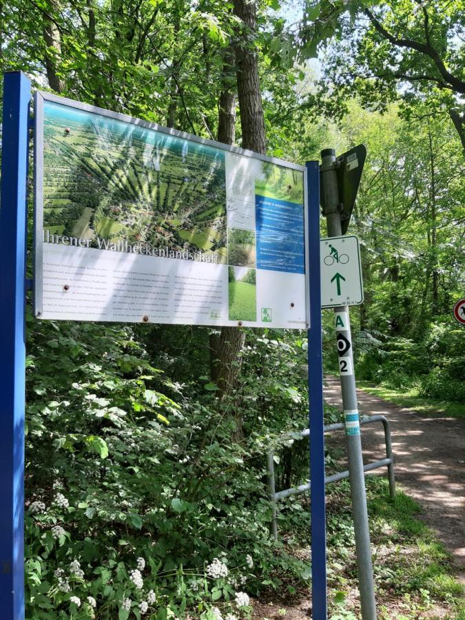 Ferienwohnung Am Ostfriesland-Wanderweg Rhauderfehn Exterior foto
